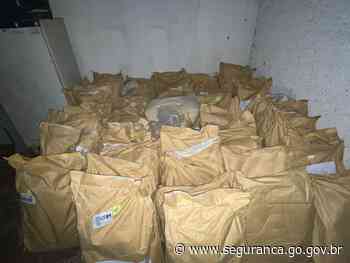 PCGO apreende meio milhão em agrotóxicos ilegais em empresa de Morrinhos - Secretaria de Segurança Pública do Estado de Goiás (.gov)