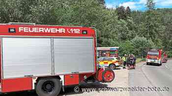 Feuerwehr in Schramberg - Herrenloses Dreirad löst Großeinsatz aus - Schwarzwälder Bote