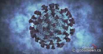 COVID-19: BA.5 variant soon to be dominant in Saskatchewan, deputy CMHO says