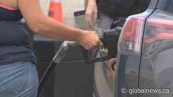 Albertans set to receive double carbon tax rebate this week