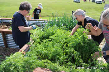 Master Gardener tips for the Panhandle – Week of July 11, 2022 - Nebraska Today