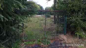 Grundstücke in drei Baugebieten: Bewerbungsfrist für Bauplätze in Papenburg endet bald - NOZ