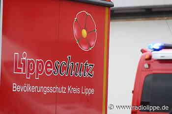 Wieder Feuer auf Stoppelfeld: 70 Feuerwehrleute in Detmold-Diestelbruch im Einsatz - Radio Lippe