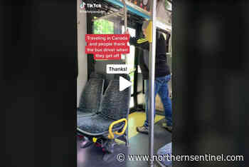 Sorry, but polite BC transit service has TikTok world talking – Kitimat Northern Sentinel - Kitimat Northern Sentinel