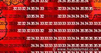 Temperatures as high as 37C predicted during next week's extreme heatwave - Hull Live