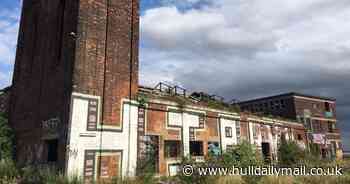 Frustration as Hull's St Andrew's Dock regeneration grinds to a halt - Hull Live