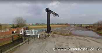 Greyhound found dead in Beverley Beck with sandbag tied around neck - Hull Live