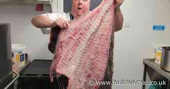 Hull restaurant serves up its biggest ever fish weighing a whopping 154lbs - Hull Live