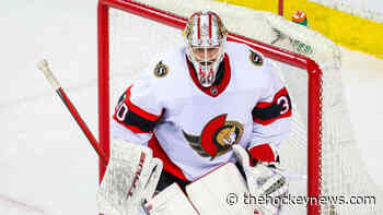 The Maple Leafs Made an Era-Defining Bet in Net - The Hockey News