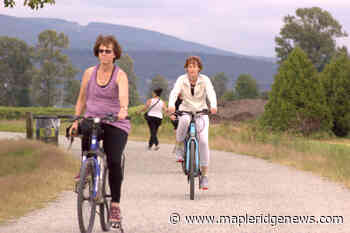 VIDEO: Maple Ridge named in top 23 per cent of bike-friendly cities - Maple Ridge News