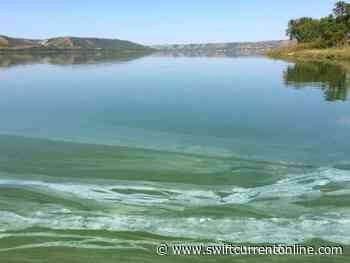 Swift Current's extreme heat leads to dangers in the water - SwiftCurrentOnline.com