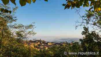 Benevento Brunello: a novembre edizione cosmopolita da Montalcino a Londra, passando per New York e Toronto - la Repubblica