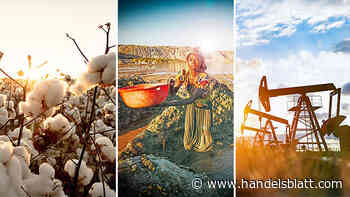 Kupfer, Öl und Co.: Stress am Rohstoffmarkt: Der Preiseinbruch zeigt die Furcht vor einer Rezession