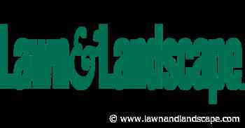 Ernst & Young awards Jesson regional entrepreneur award - Lawn & Landscape