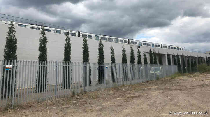 Network Rail planting trees to reduce graffiti