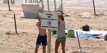 2 people bitten by sharks in the same day at New York beaches