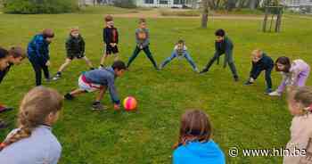 Laatste zomerkampplaatsen in Zonhoven gaan de deur uit - Het Laatste Nieuws