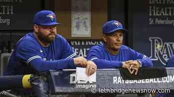 Blue Jays interim skipper Schneider getting settled in to new role - Lethbridge News Now