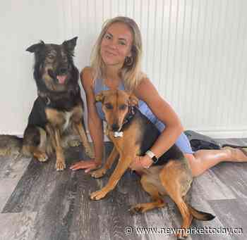 Aurora resident helping abandoned Costa Rican dogs find homes - NewmarketToday.ca