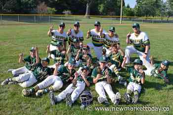 Newmarket Hawks crowned champions at Aurora baseball tourney - NewmarketToday.ca