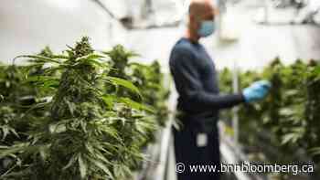 Aurora to purchase Thrive Cannabis owner TerraPharma in $38M deal - BNN