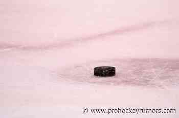 Ottawa Senators Sign Tomas Hamara To Entry-Level Contract - prohockeyrumors.com