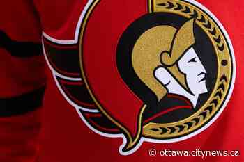 Senators making all the right moves during busy stretch - Ottawa.CityNews.ca