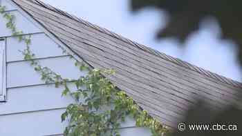 Ottawa resident shocked by threat of $50000 fine for one missing roof shingle - CBC.ca