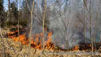 Große Trockenheit macht die Lage auch in Augsburg brandgefährlich