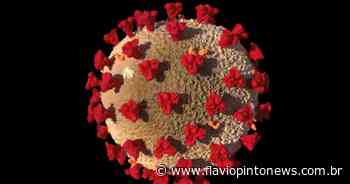 Crato registra mais 79 casos de Covid-19 nesta terça - Flavio Pinto News