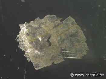 Endstation Tiefsee: Mikroplastik belastet Meeresgrund noch stärker als angenommen