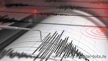 Erschütterung im Kreis: Wie gefährlich sind die Erdbeben bei Calw oder Nagold?