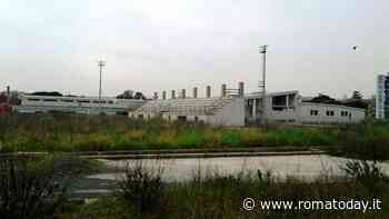 La grande truffa che ha lasciato Roma al verde e senza verde