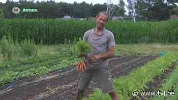 Opmerkelijke carrièreswitch: Beringse IT'er wordt landbouwer - TV Limburg