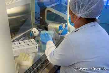 47 fresh coronavirus cases reported in Kyrgyzstan - inform.kz/en