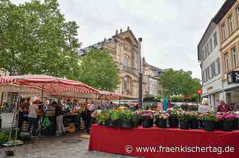 Bamberg zaubert: Standinhaber vom Grünen Markt boykottieren das Event - Fränkischer Tag