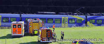 Nach Notbremsung auf der Bahnstrecke zwischen Freilassing und Teisendorf: Großaufgebot an Einsatzkräften rückt aus - Traunsteiner Tagblatt