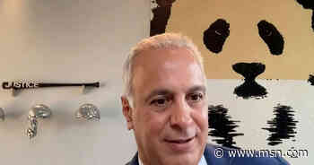 Eric Herschmann calls Sidney Powell's proposals 'nuts' - msnNOW