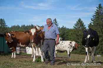 Die andere Bergwirtschaft – Die Alpen im Jura - Der Bund
