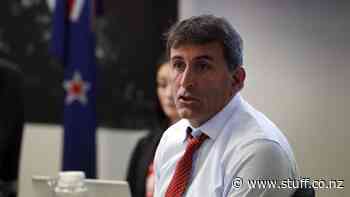 Another Nelson councillor announces mayoral bid - Stuff