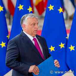 Brussel klaagt Hongarije aan om antihomowetgeving en inperking persvrijheid