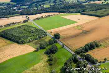Stadtrat Pockau-Lengefeld kippt eigenen Beschluss: Weg frei für Bau von Windrädern - freiepresse.de