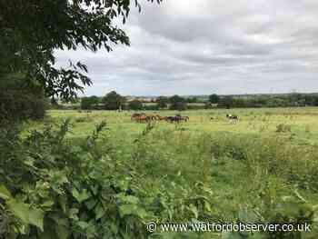 Objections fly in over plans to build houses at Harts Farm in Bushey