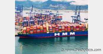 H-Line Shipping seafarers threaten to strike - FreshPlaza.com