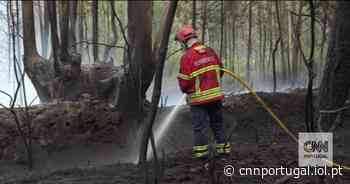 Mais de 2500 hectares queimados em Albergaria-a-Velha - CNN Portugal