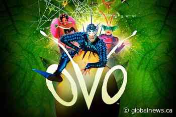 Global Regina – Cirque du Soleil OVO - GlobalNews Contests & Sweepstakes - Global News