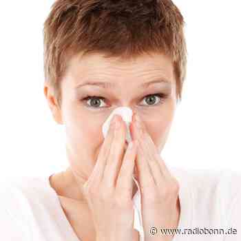 Wieder gab's die wenigsten Krankentage in Bonn - Radio Bonn / Rhein-Sieg - radiobonn.de