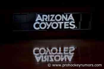 Arizona Coyotes Sign Lukas Klok - prohockeyrumors.com