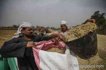 How to Solve the Global Food Crisis - Foreign Policy