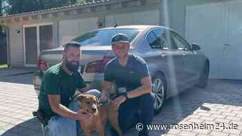 In praller Sonne geparkt: Fahrer bricht über Lenkrad zusammen - Fahnder retten Hund und Herrchen